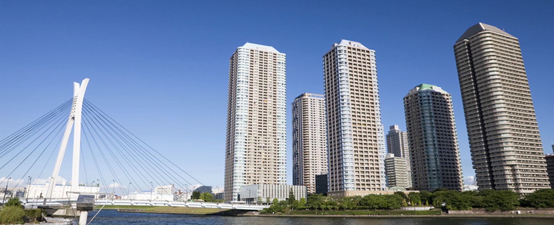 メインビジュアル5